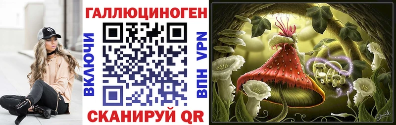 Галлюциногенные грибы Psilocybine cubensis  купить наркоту  Цивильск 